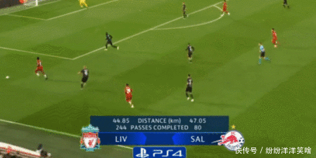 德泽尔比：目前没人比加图索更适合执教意大利队